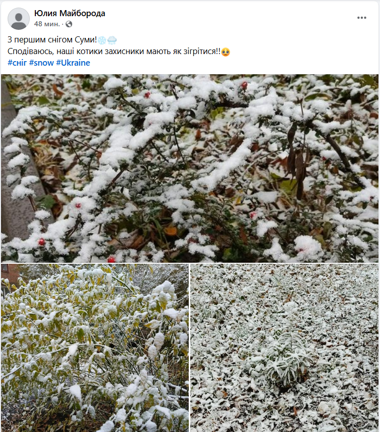 Україну продовжує засипати снігом: де випало найбільше (фото, відео)