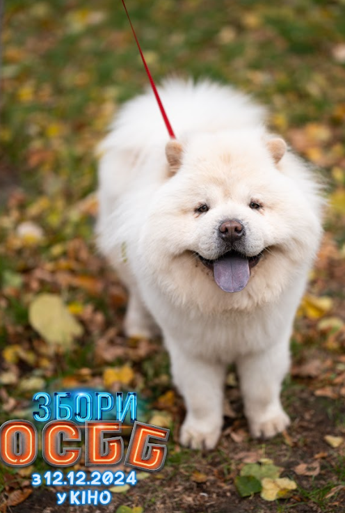 "Збори ОСББ" з Лебігою та Сумською. Дивіться перший трейлер новорічної комедії