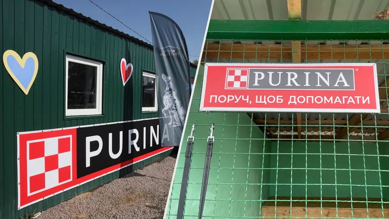 Поруч, щоб допомагати: Purina® та Зоопатруль об’єдналися для порятунку тварин