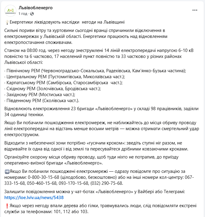 Непогода парализовала Львовскую область: где пропал свет и что делать при оборванных проводах