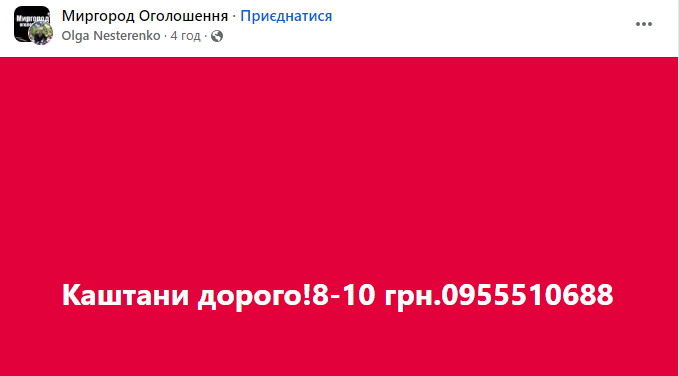 Порада на мільйон. Де можна здати каштани і хто за це платить найбільше