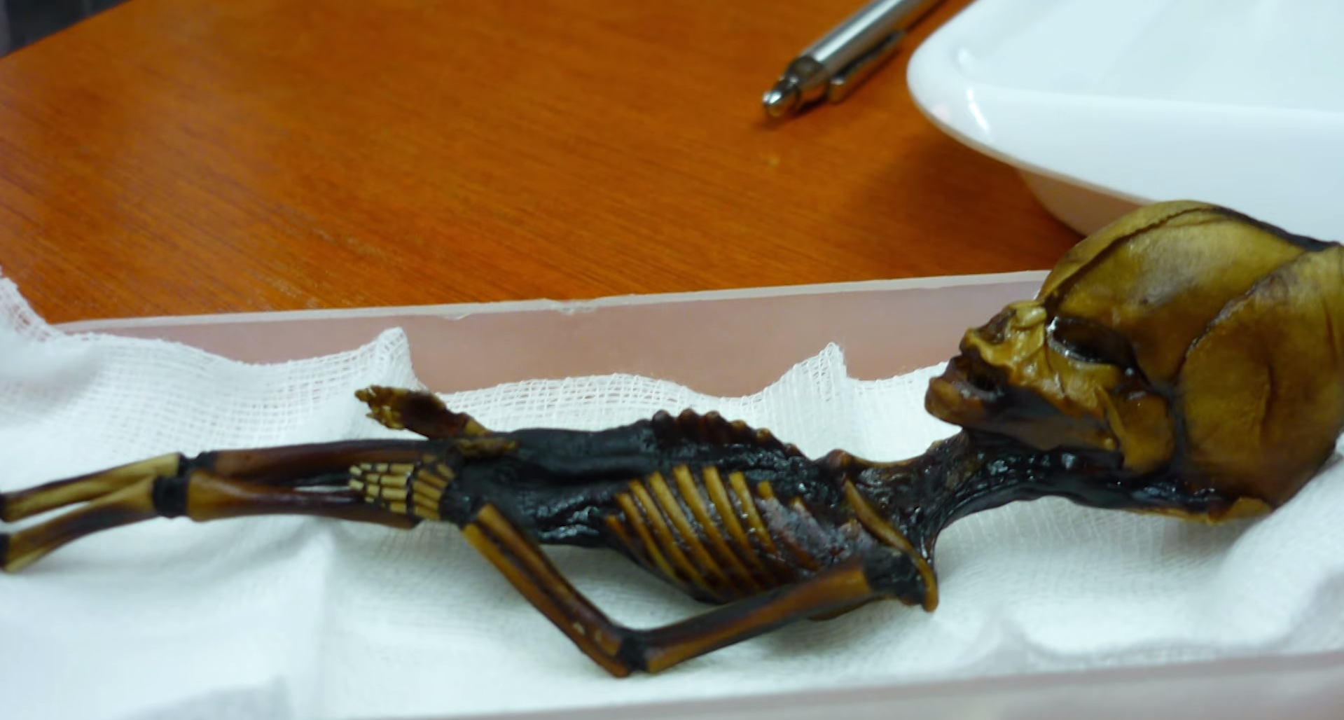 "Гуманоїд Атаками". Як виглядає загадкова крихітна мумія, знайдена науковцями, і що про неї відомо