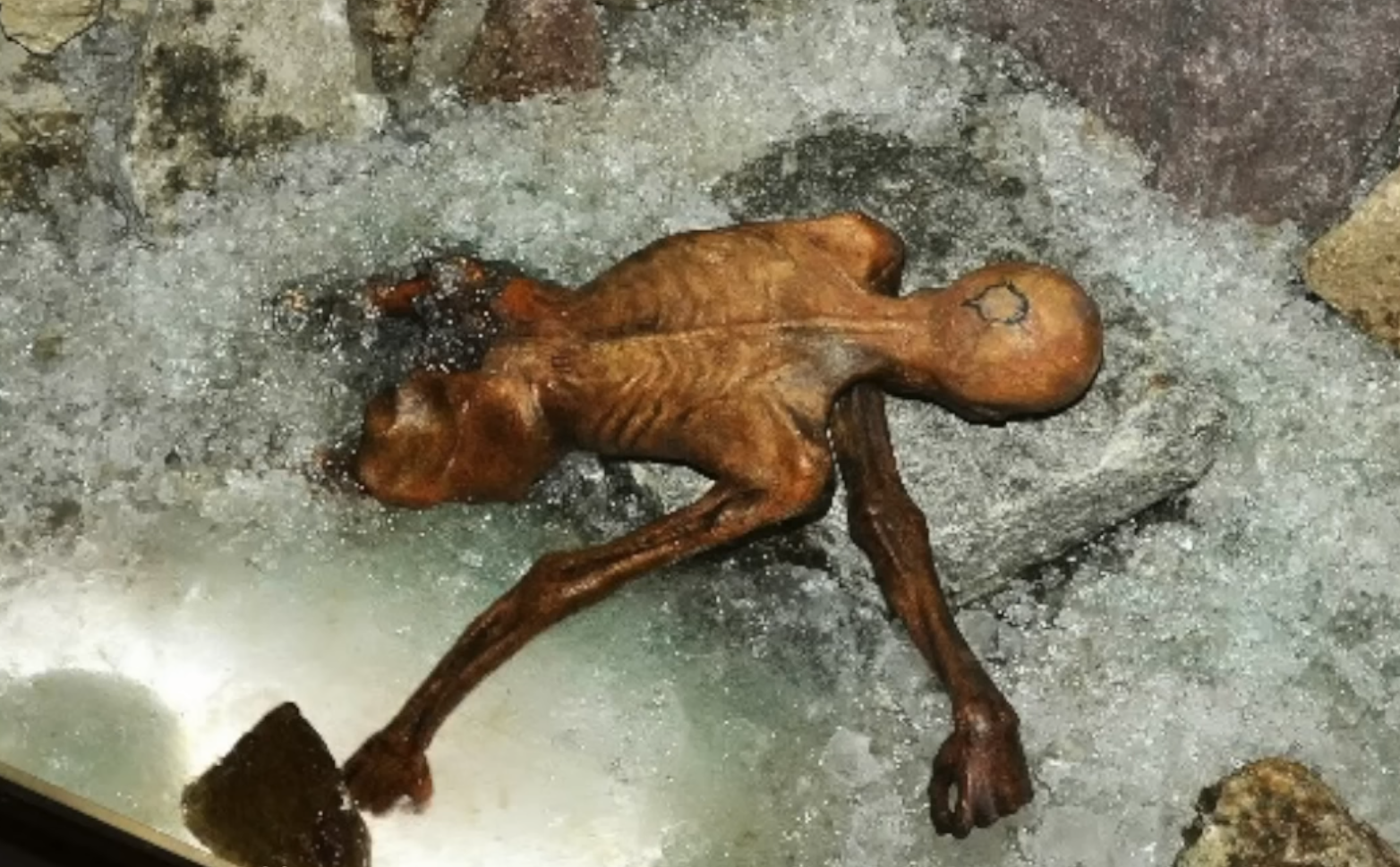 Найдавніша в Європі. Як виглядає "крижана" мумія Етці й в чому її секрет