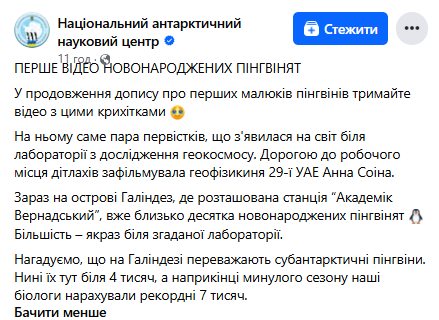 Полярники со станции "Академик Вернадский" показали первое видео новорожденных пингвинят