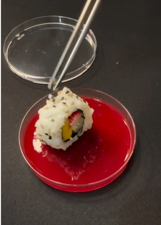 Сколько микробов на суши. Ученый показал то, что трудно "развидеть" (видео)