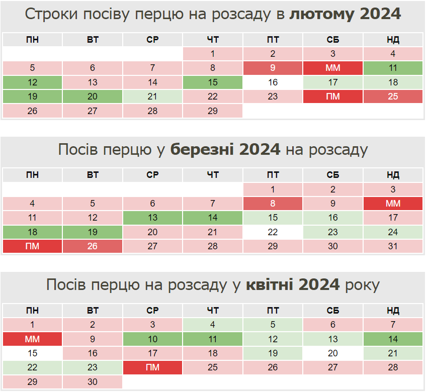 Когда сеять перец на рассаду, чтобы получить хороший урожай