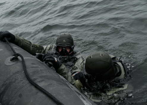 &quot;Елітні війська&quot;: дивіться рідкісні кадри з бойовими водолазами, які нищать ворога в тилу