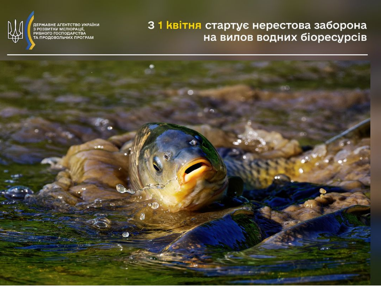 Украинцам запретили ловить рыбу на водоемах и в реках: что случилось и кого это не касается