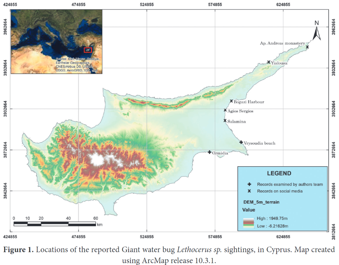 Гигантские водяные жуки могут атаковать туристов на популярном курорте: что известно и как уберечься