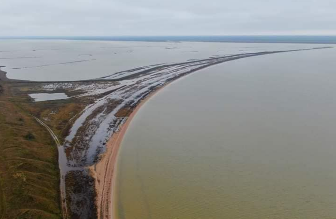 В Україну повернулась зграя рожевих фламінго: де вони можуть жити під час війни (фото)