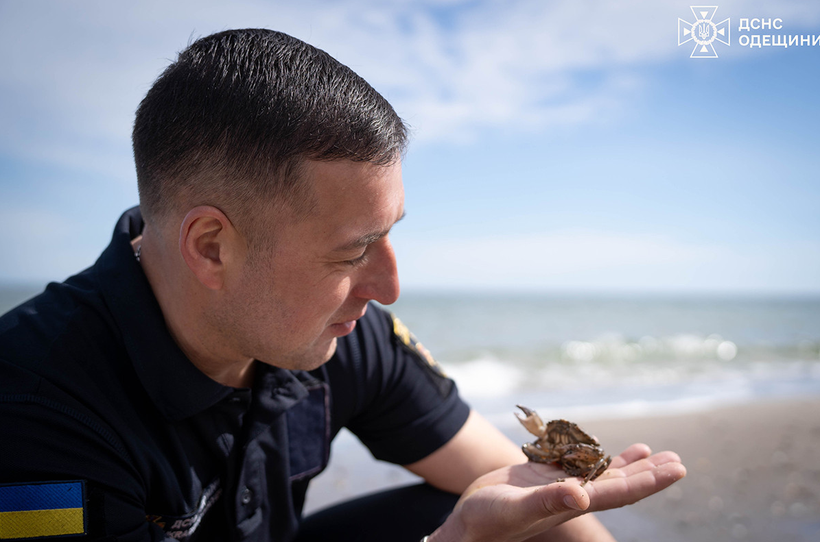 Це варто побачити. Українцям показали, як тренуються водолази-рятувальники (фото)
