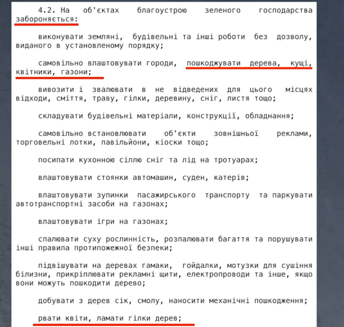 Можно ли ломать сирень - приметы о белой сирене и мнение биологов | РБК  Украина