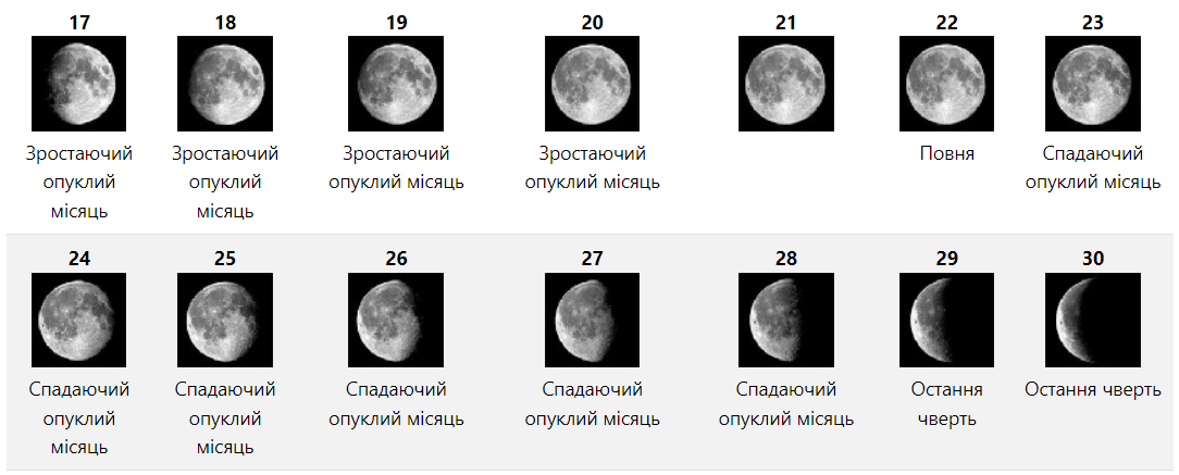 Місячний посівний календар на червень 2024: що та коли садити для гарного врожаю