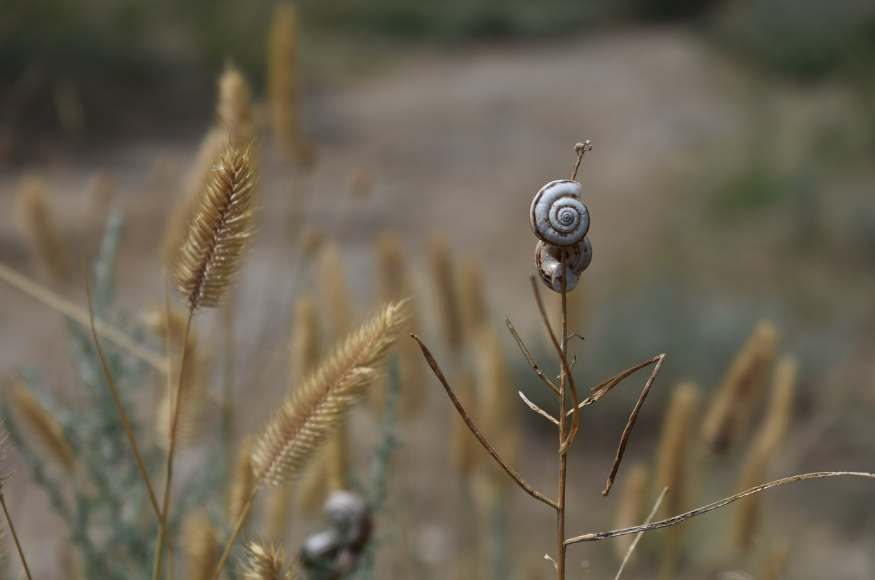 Аномальная жара накроет Европу: чего ждать украинцам летом