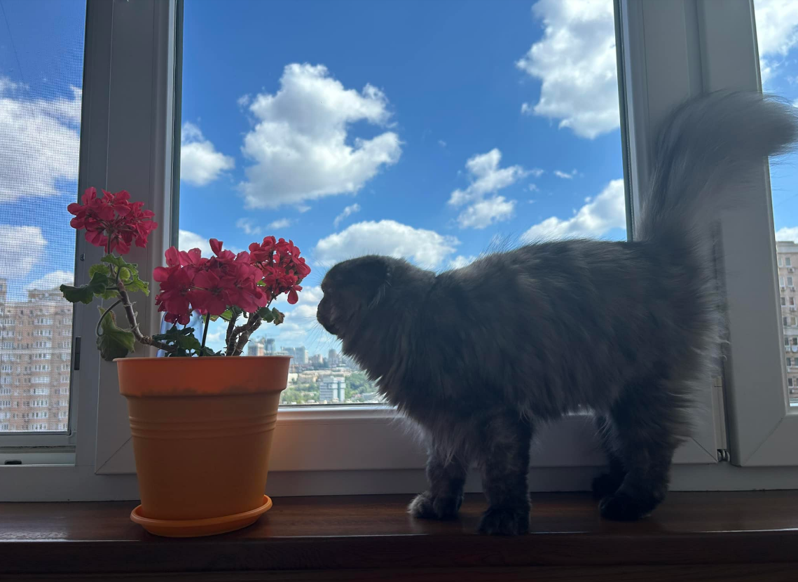 Жара охватила Балканы и Италию. Синоптик объяснила, угрожает ли это украинцам в ближайшее время