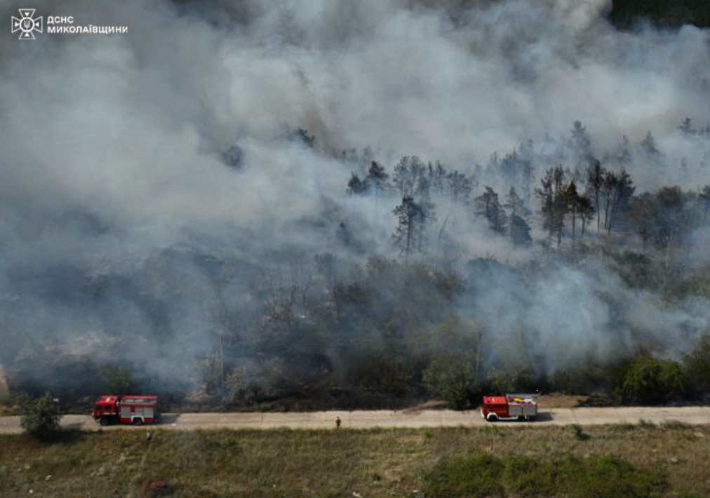"Розплавлені" машини, перегрів колій та пожежі. Якого лиха завдає аномальна спека Україні