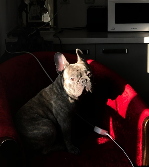 "Любовь с первого взгляда": Алан Бадоев заявил о "пополнении" в семье (фото)