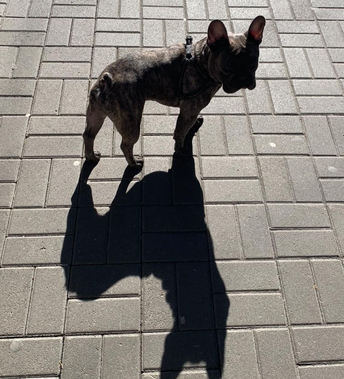 "Любовь с первого взгляда": Алан Бадоев заявил о "пополнении" в семье (фото)