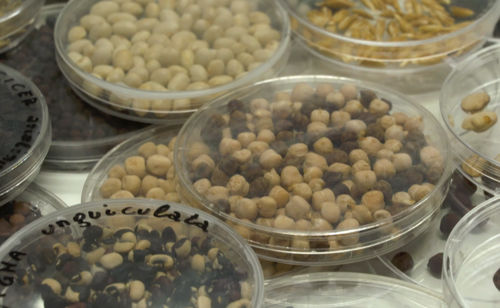 "Сховище Судного дня". Де знаходиться унікальна споруда й чи пускають туди туристів