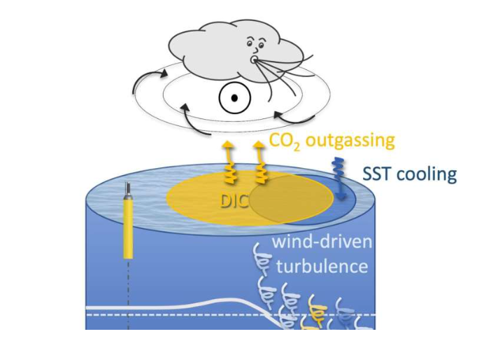 Це згубно впливає на клімат. Чому Південний океан викидає вуглекислий газ в атмосферу