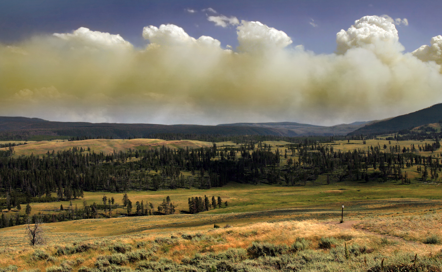 Піднімаються в атмосферу і кидаються блискавками: як виглядають "вогнедишні" хмари