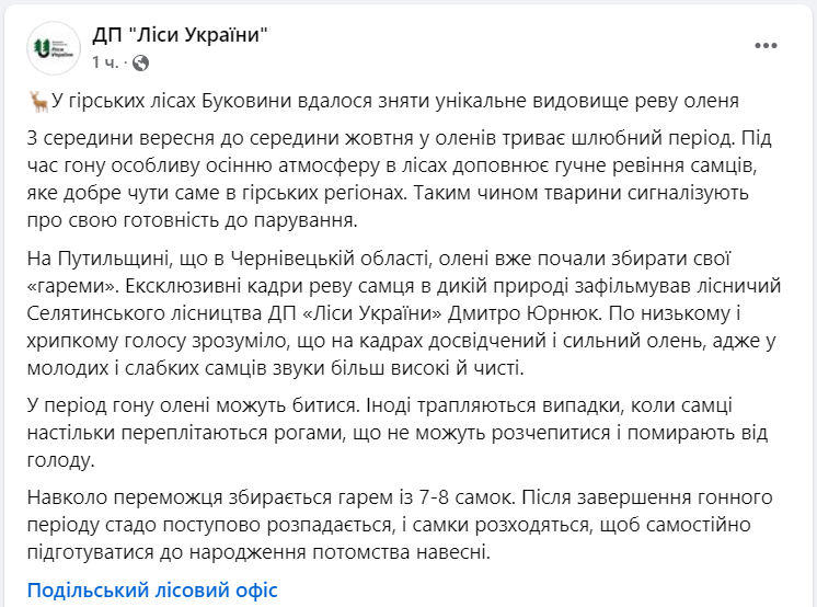 Украинцам показали, как ревет олень в брачный период: уникальное видео