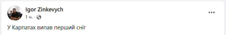 В Україні випав перший сніг: у мережі показали фото та відео