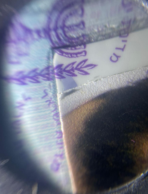 Ехал в Умань на Рош ха-Шана. На границе задержали "туриста" с липовыми паспортами