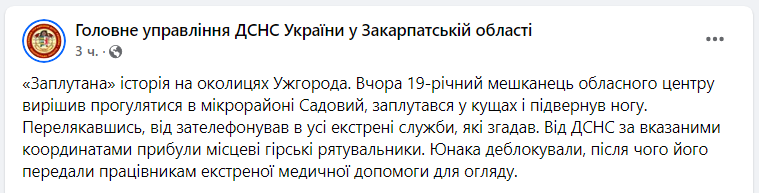 &quot;Закарпатський Рапунцель&quot;. В Ужгороді ДСНС рятувала хлопця, який &quot;заплутався в кущах&quot;