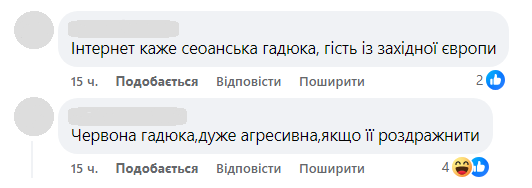 "Анаконда Волинська". Українець показав, із ким несподівано зустрівся на природі (фото)