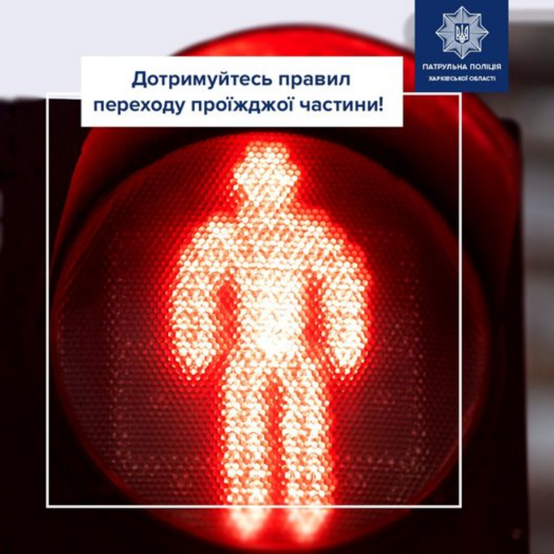 Переходить дорогу нужно по правилам: какой штраф могут выписать пешеходам