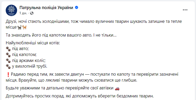 Поліція радить водіям стукати по капоту перед тим, як заводити двигун: що сталось