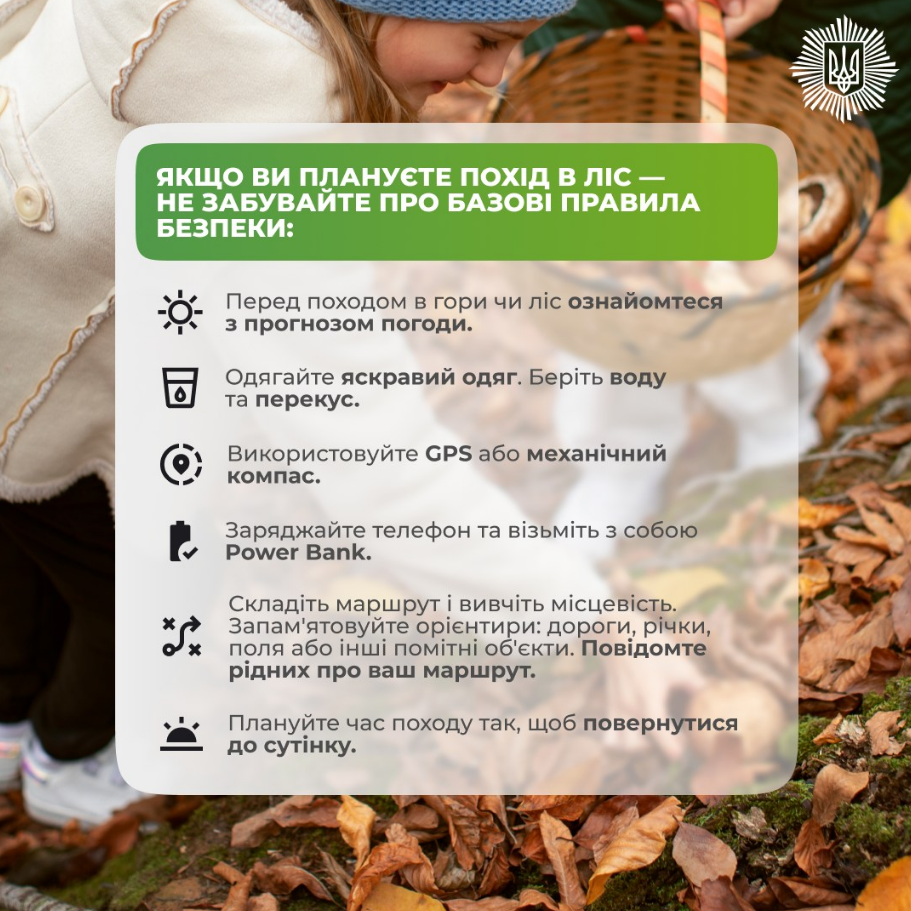 Як збирати гриби безпечно під час війни: поради МВС