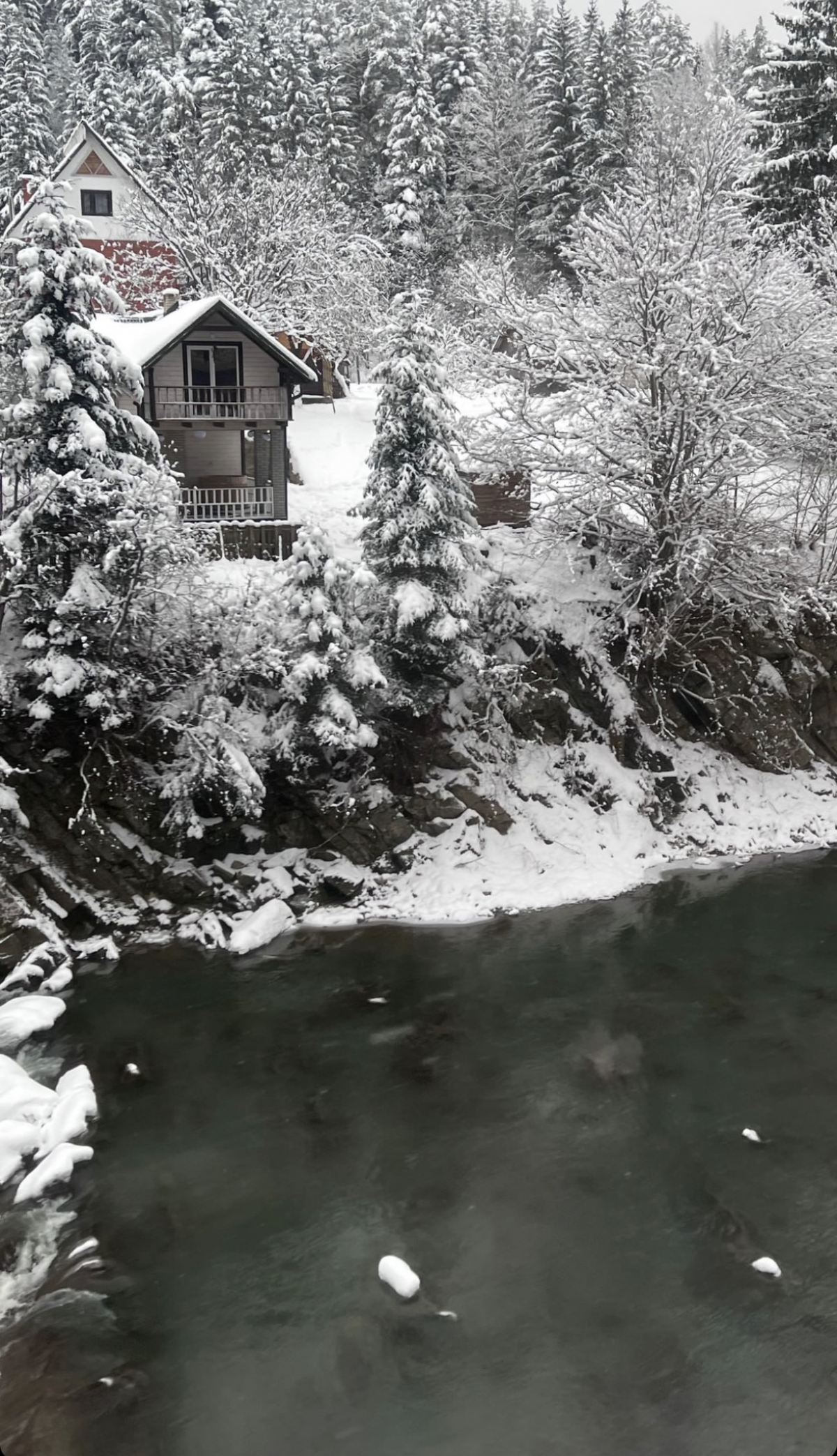 Мішина у Таїланді, Кароль - у Буковелі: де відпочивають українські зірки на новорічні свята