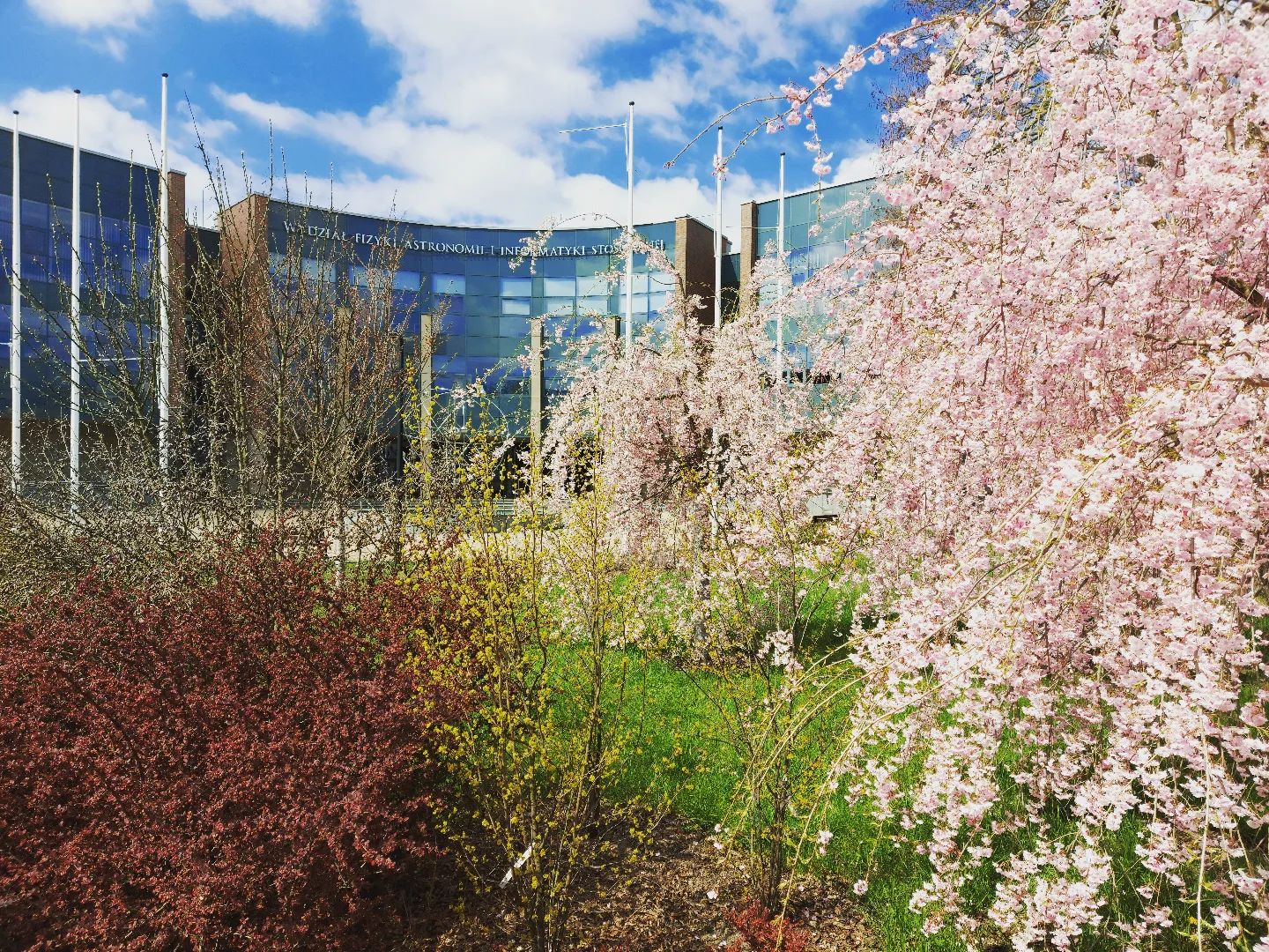 Как поступить в европейский университет во время войны: список доступных вузов и советы по адаптации