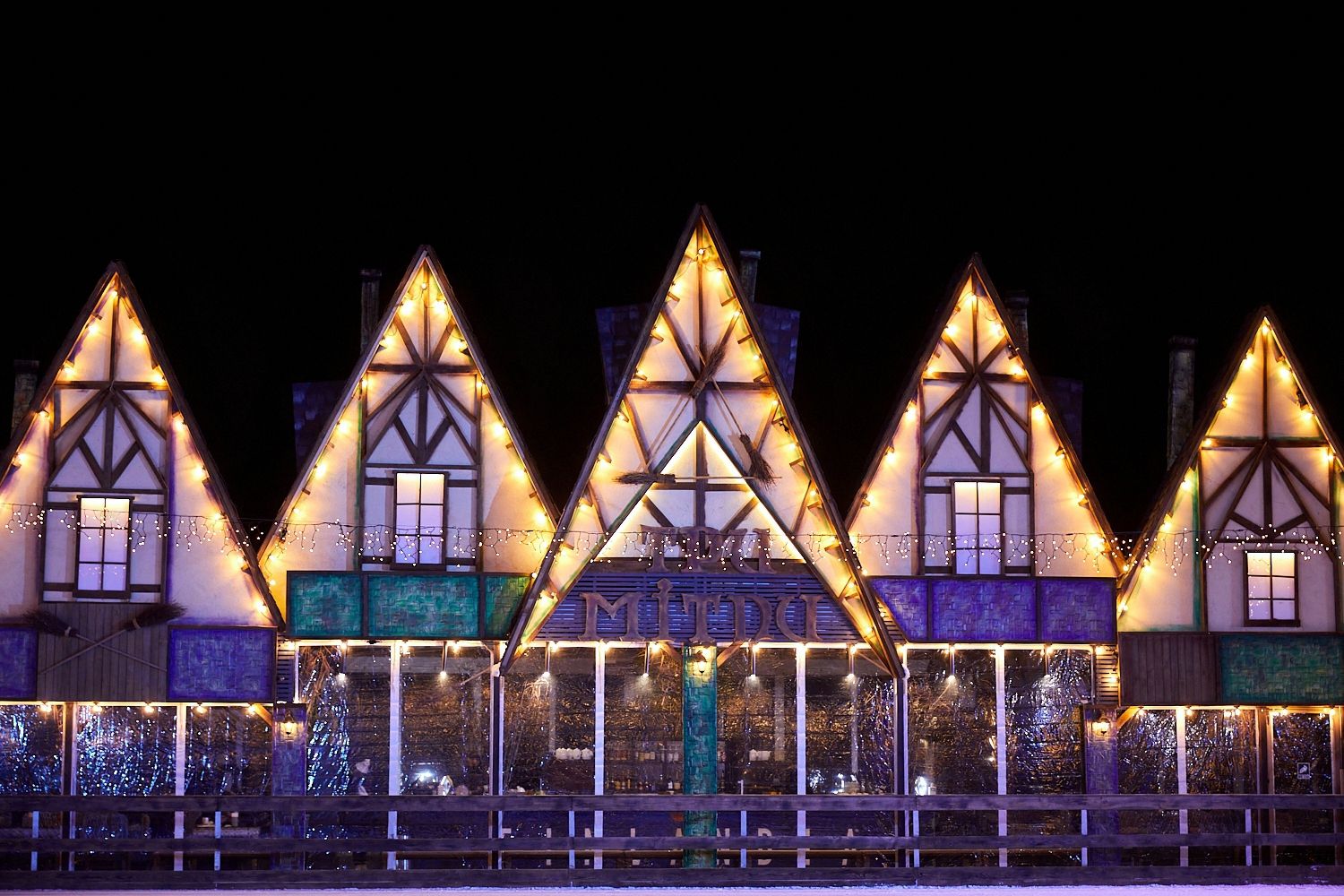 У Києві покажуть унікальне льодове дійство з героями кіносаги про фантастичних звірів