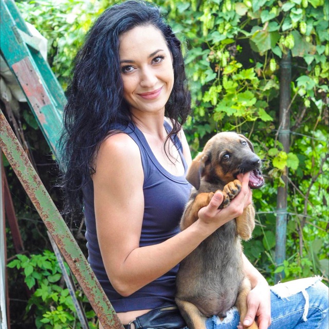 "Если умирать - то всем вместе. Но своих не брошу". Как во время войны выживает приют для животных в Днепре