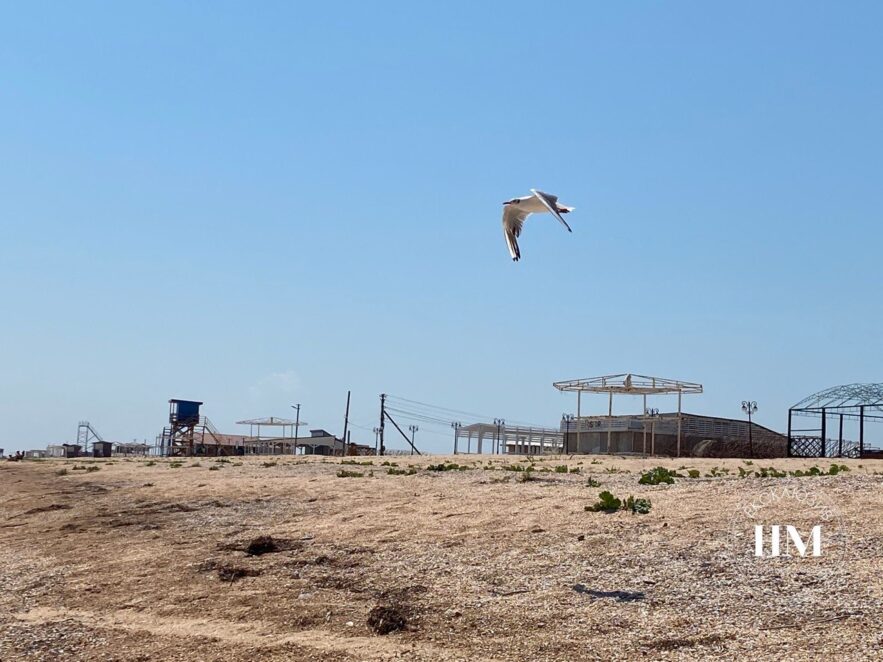 "Мертвий сезон" на Арабатській стрілці: порожні пляжі, чайки і медузи (фото)