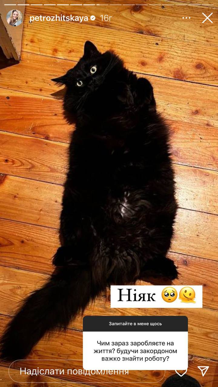 Не зарабатывает совсем: Дарья Петрожицкая призналась, на какие средства живет в Германии