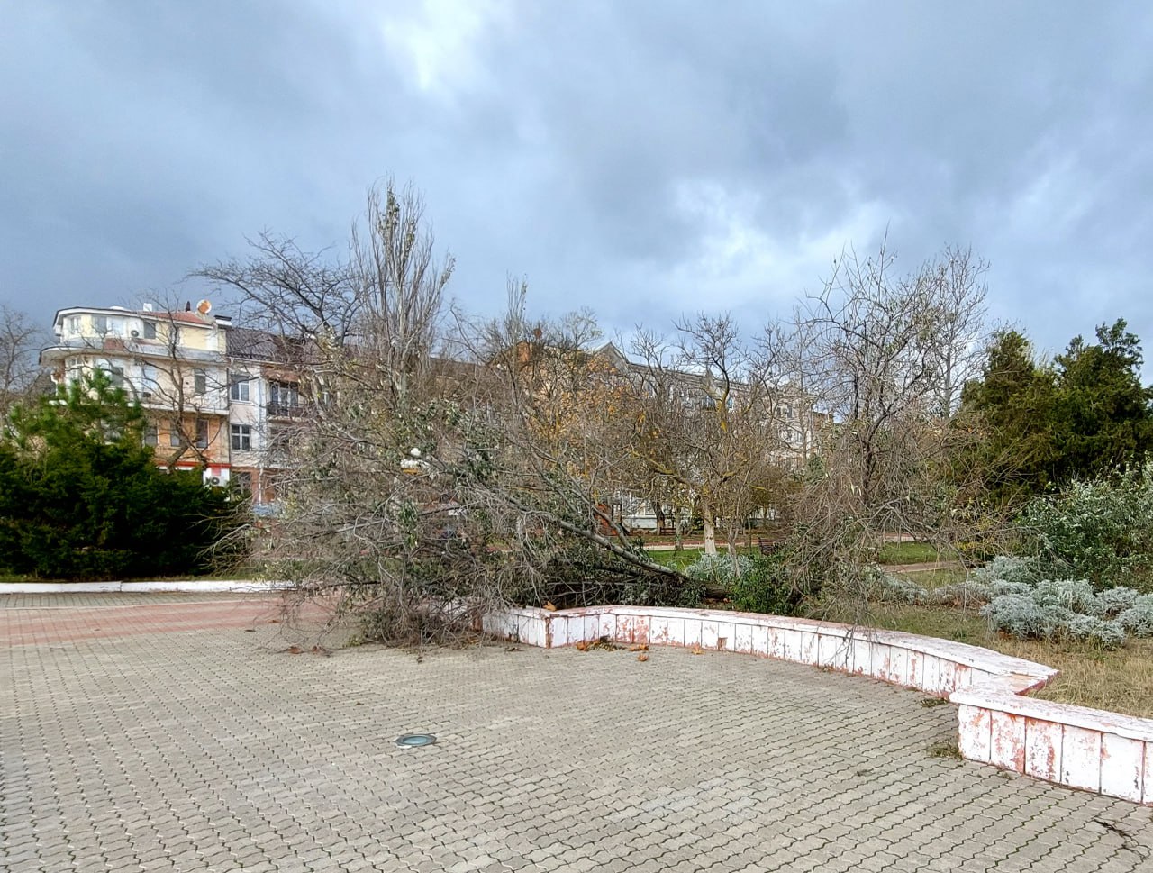 Море выходит из берегов: в Крыму бушует "шторм века", смывая все на своем пути (фото, видео)