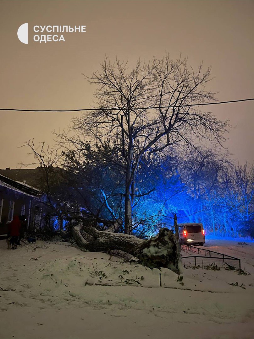 Непогода в Украине. Невероятные кадры метели в Киеве и Одессе