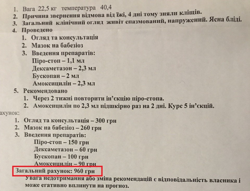 Что делать, если собаку укусил клещ и сколько стоит лечение