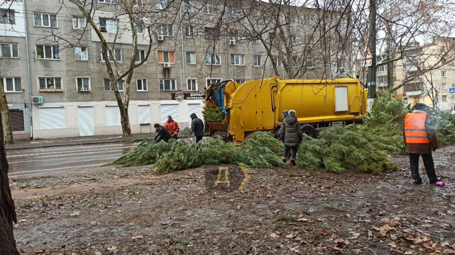 В Одессе продавцы выбросили на улицы сотни непроданных елок (фото)