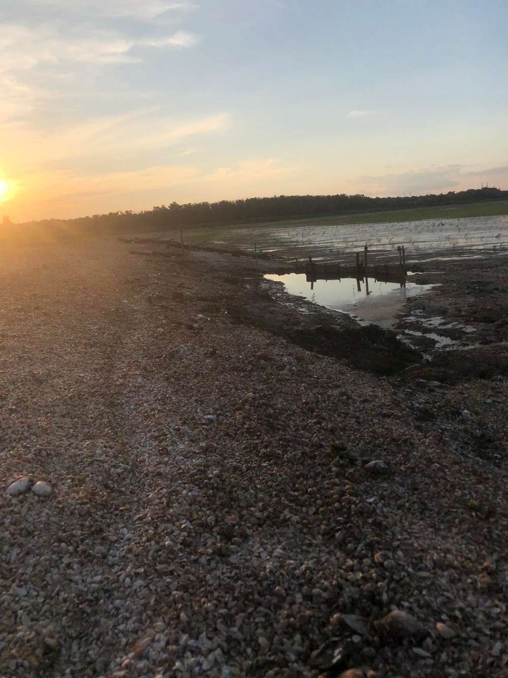 На дне Каховского водохранилища образовались огороды: там не только картошка (фото)