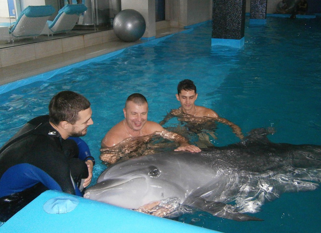 "Совковая" практика. Зачем России боевые дельфины и спасут ли они флот в Севастополе
