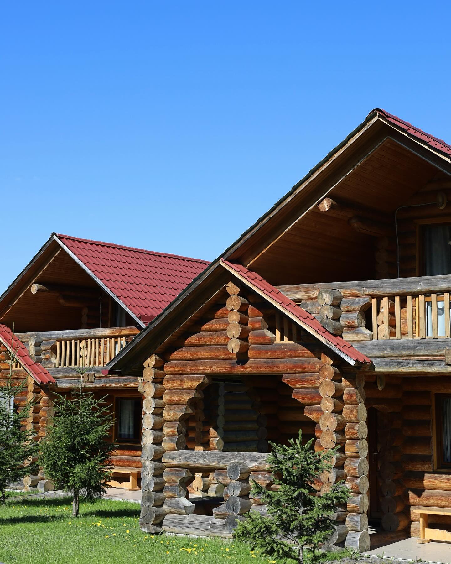 Весенние выходные в Карпатах: топ домов и коттеджей, где можно отдохнуть на природе