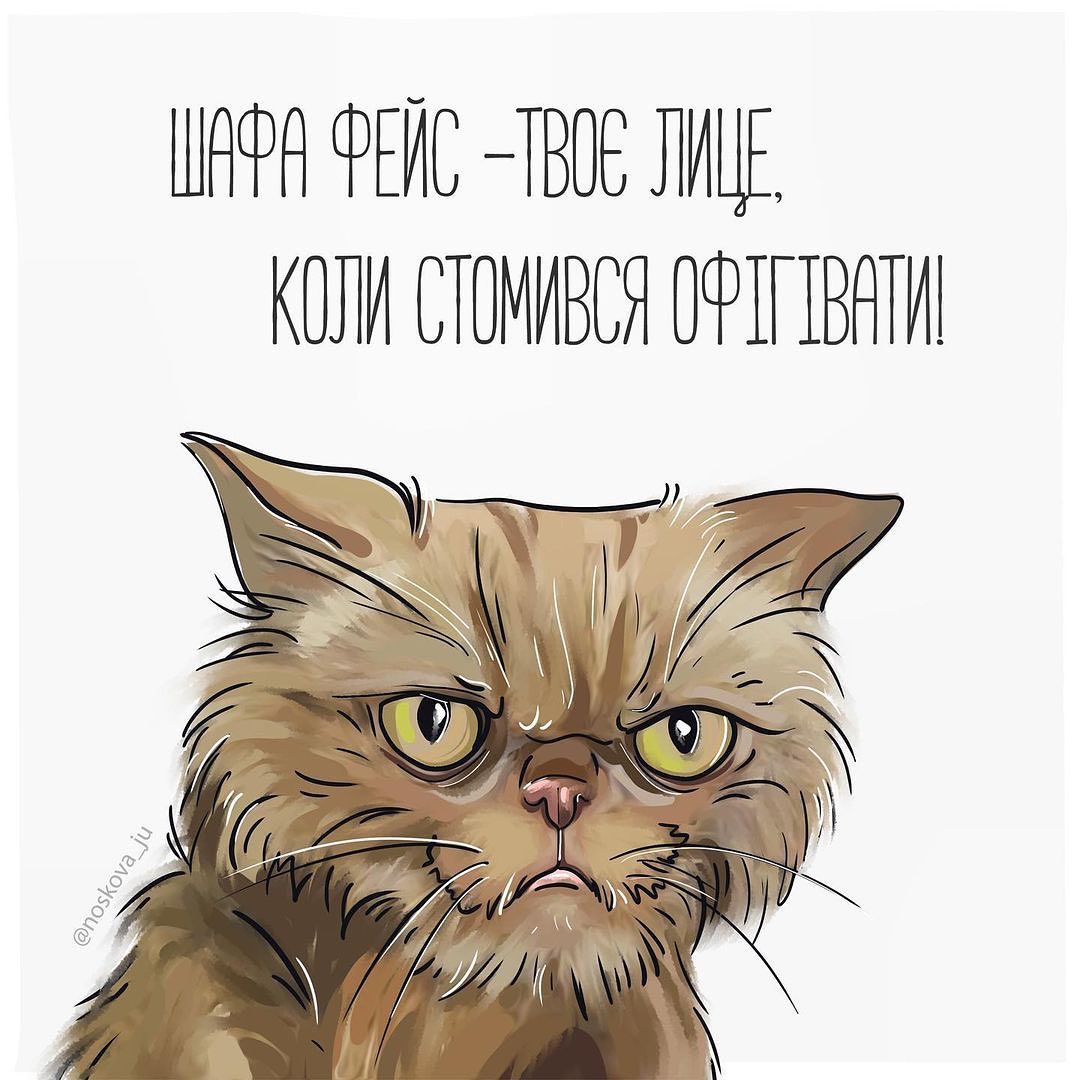 Одна справжня господиня і 12 шахраїв: як закінчився скандал навколо врятованої з Бородянки кішки Шафи