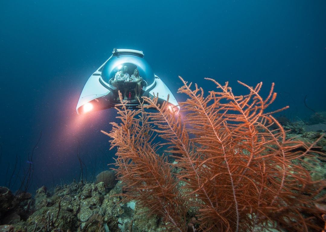 Дивіться фото і відео унікальних туристичних підводних човнів. Ціна вражає