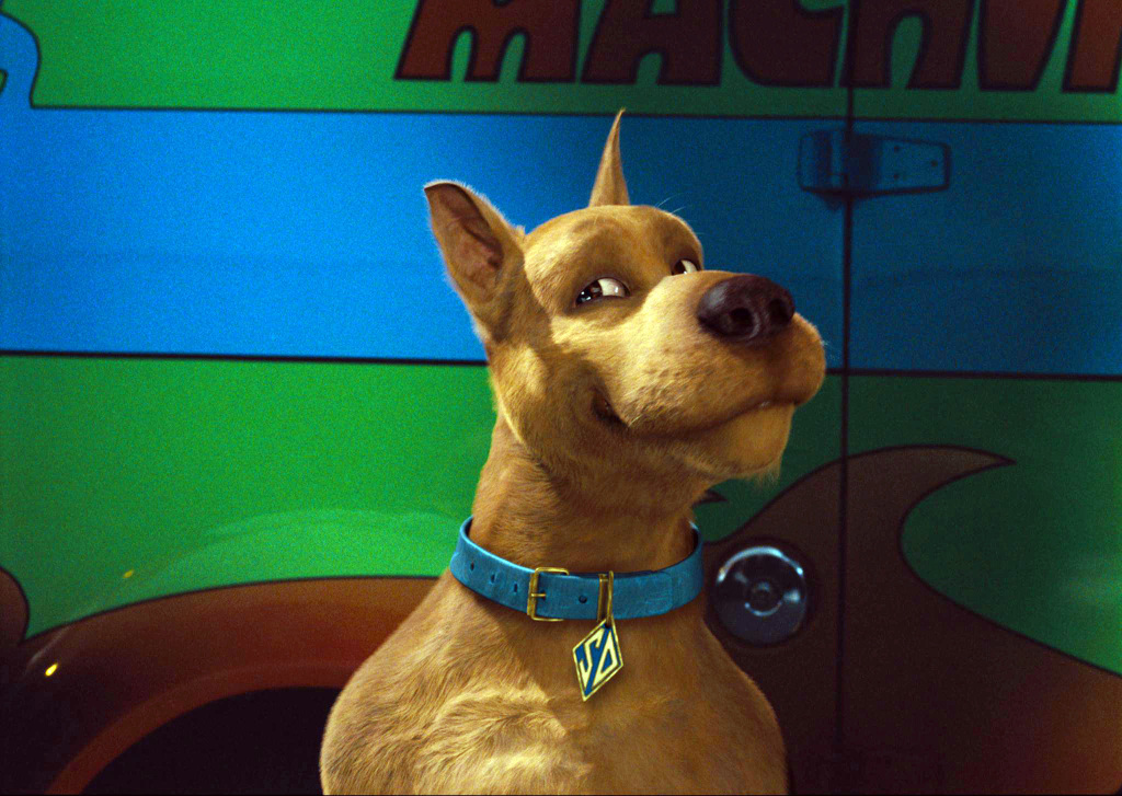 Топ-5 актеров фильма "Скуби-Ду" тогда и сейчас: чем они сегодня занимаются