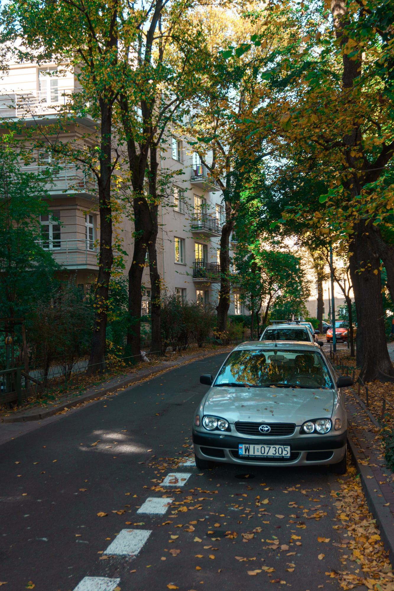 Какие правила въезда в Польшу на своем авто из Украины в 2023 году | РБК  Украина